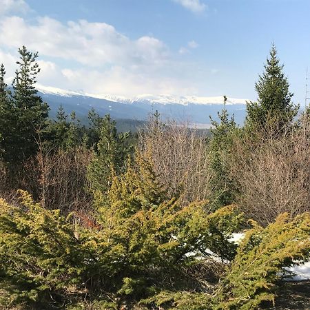 Borovets Hills Apartments - Evergreen Suite Kültér fotó